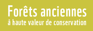 forets anciennes