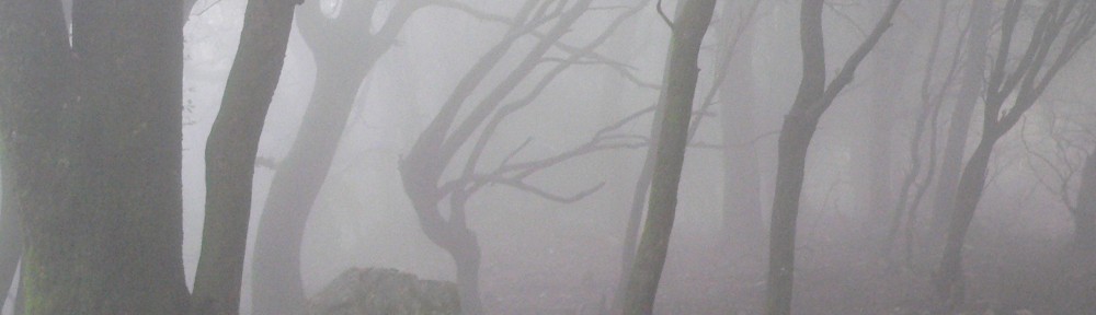 Forêt des brumes en Corse © M. Rossi