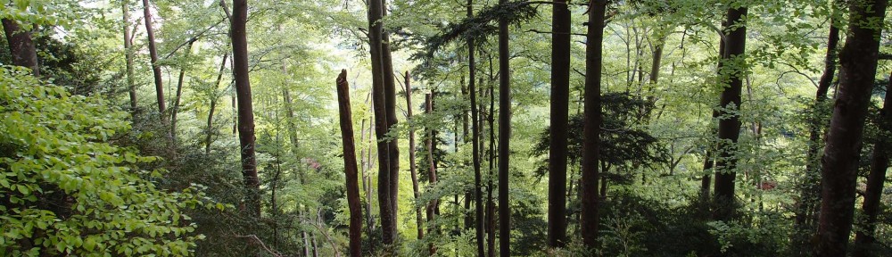 réserves intégrales