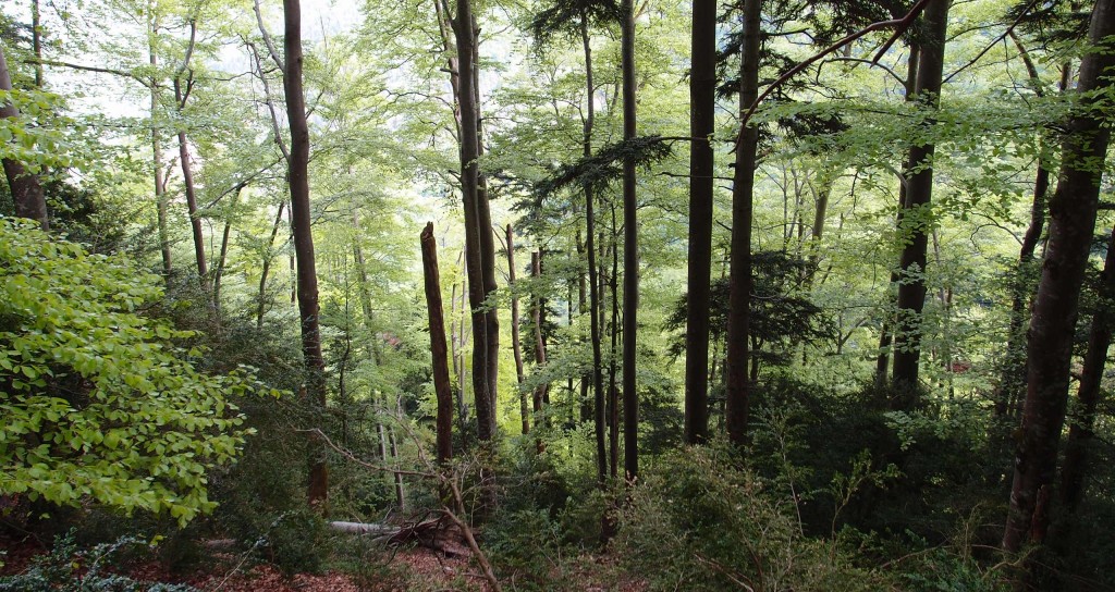 réserves intégrales