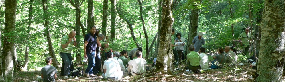Réunion en forêt © M.Rossi