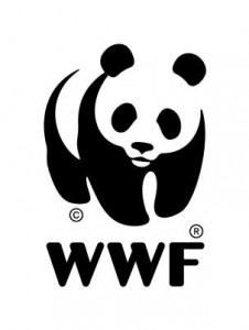 wwf | contact