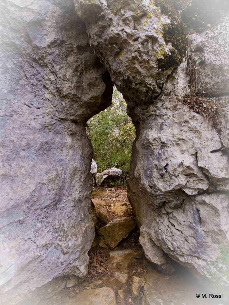 Bois de Païolive, Ardèche © M. Rossi Païolive