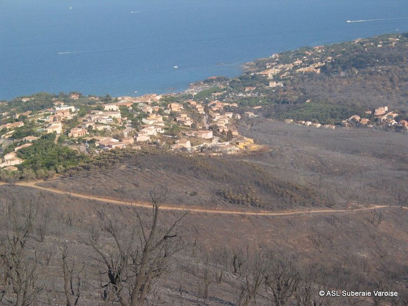 Interface zones urbaines et forêt (© ASL Suberaie Varoise) | Defrichement et urbanisation