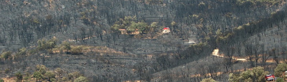 Paysage forestier incendié, Maures © ASL Suberaie Varoise