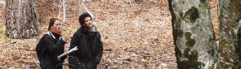 Protocole Naturalité, Programme Forêts Anciennes, WWF France © D. Vallauri.