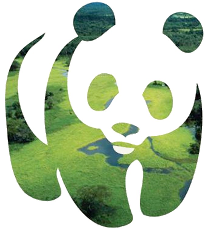 Le programme | Naturalité | Programme Forêts Anciennes