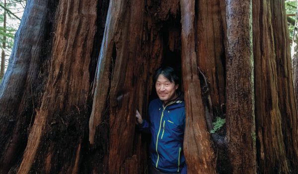 March 25, 2021. Port Renfrew, B.C., Canada. Ken Wu, Ancient Forst Alliance in Avatar forest. (Photograph by Jen Osborne)