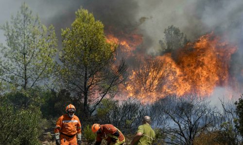 French firefighters use a water hose to extinguish a forest fire in Gonfaron, in the French department of Var, southern France, on August 17, 2021. - Thousands of people, including tourists in campsites, have been evacuated as a wildfire raged near the plush resort of Saint-Tropez in southern France, the fire service said on August 17. Around 750 firefighters and water-droppping aircraft were battling the blaze in difficult conditions, with high temperatures and strong winds. (Photo by NICOLAS TUCAT / AFP)