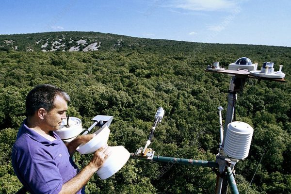 Treetop forest laboratory. Researcher in a forest laboratory checking sensors that measure factors such as wind speed and humidity. The equipment is installed on a 50-metre-tall tower rising above the tree tops. This laboratory is operated by the CEFE (Centre d'Ecologie fonctionnelle et Evolutive), the largest French research centre in ecology. The laboratory is located in a holm oak forest near Puechabon, southern France. The research includes assessments of climate change. The researcher here is the director of the laboratory Jean Marc Ourcival. Photographed in 2007.