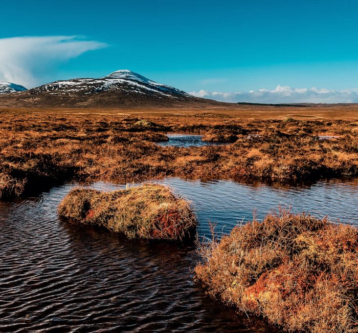 peat-bogs-forsinard-scotland_jpg_92