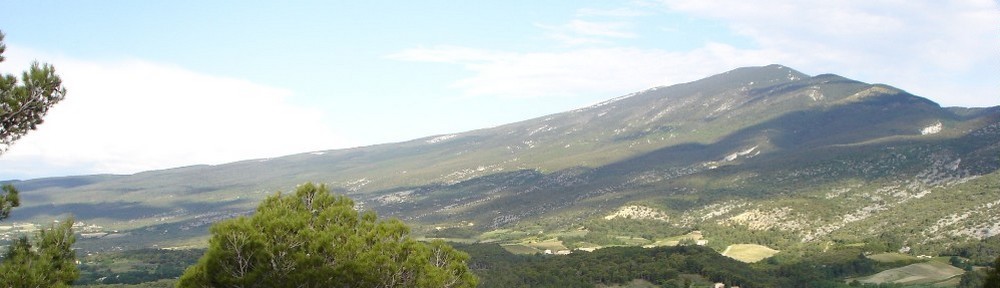 Versant sud du Mont Ventoux © D. Vallauri.